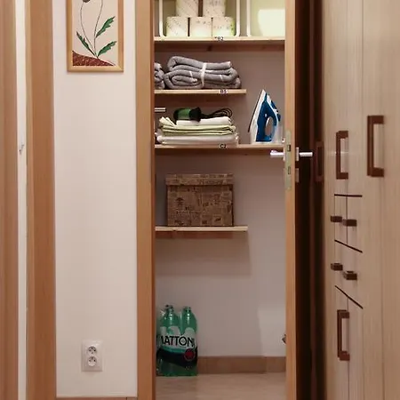 Apartman U Jeziska Apartment Pilsen