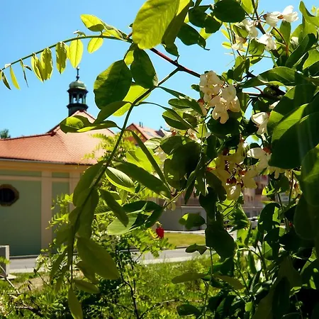 Apartman U Jeziska * Pilsen